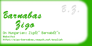 barnabas zigo business card